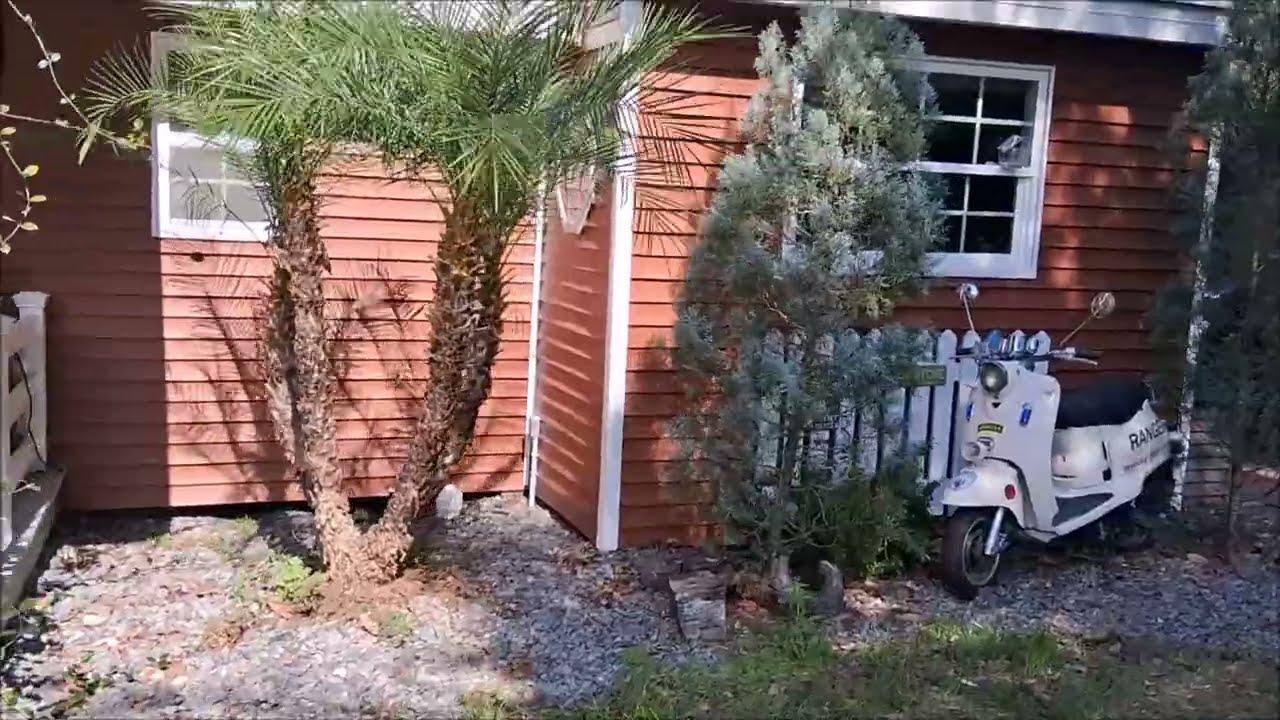 Beautiful Backyard Tour / No Mortgage No Rent Living
