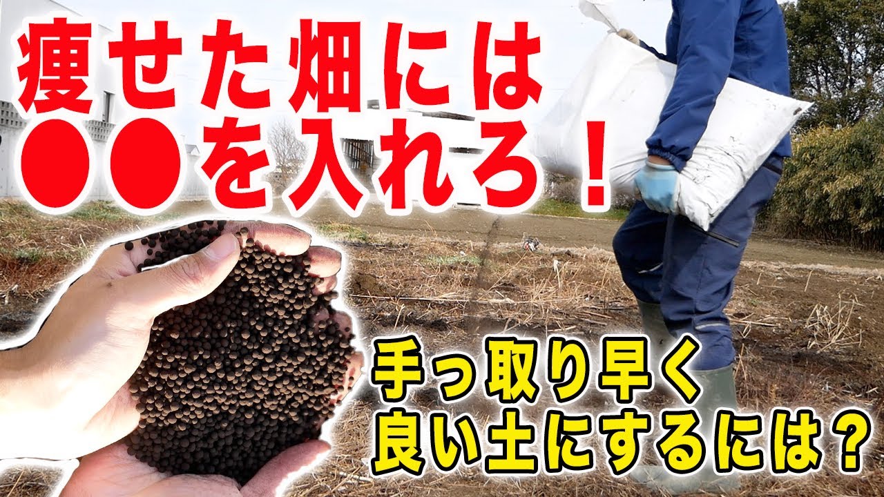 良い土の３つの条件　痩せ地をすぐ使える畑にする方法
