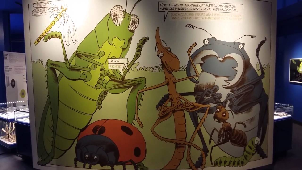 Insectarium - Montreal Botanical Garden video tour
