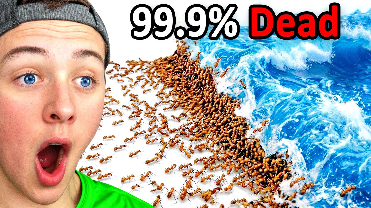 ANTS vs NATURAL DISASTERS