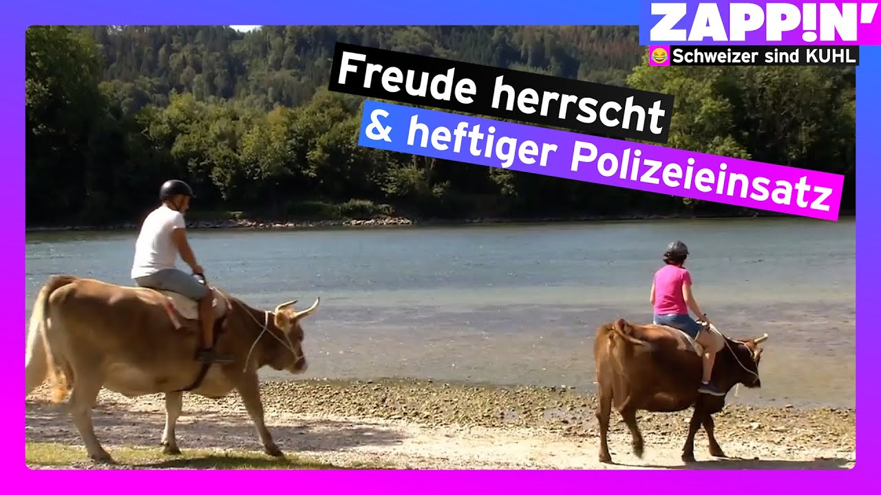 Schweizer sind KUHL | Zappin‘