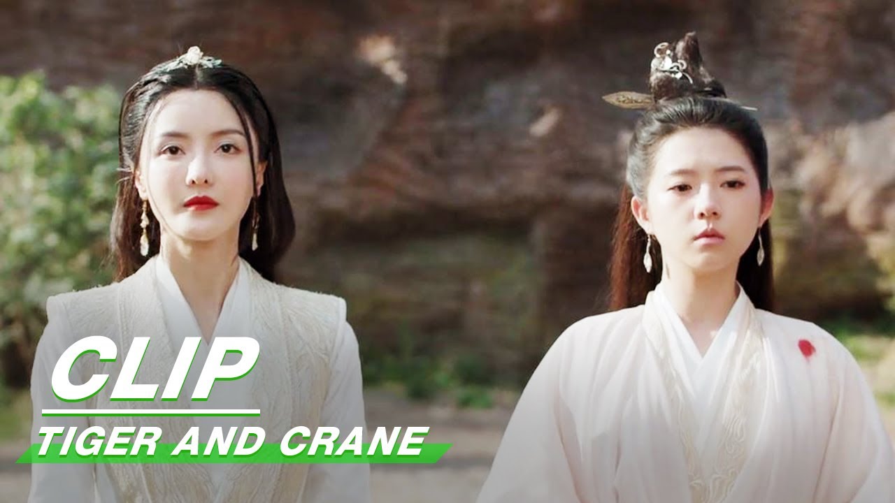 Yi Mei helped Bai Hu Regain his Human form | Tiger and Crane EP33 | 虎鹤妖师录 | iQIYI