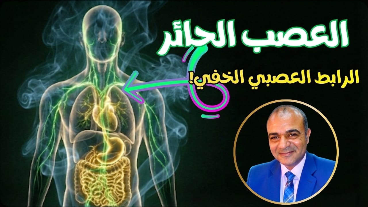 اعتلال العصب الحائر: اكتشف الرابط العصبي الخفي بين صراخ كليتيك، توتر مثانتك، وضعف الخصوبة!