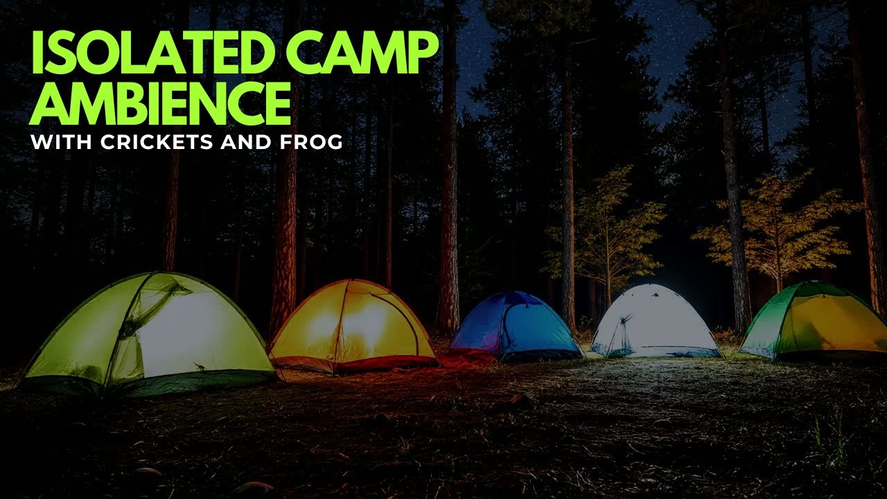 Isolated Camp Ambience with Crickets and Wind