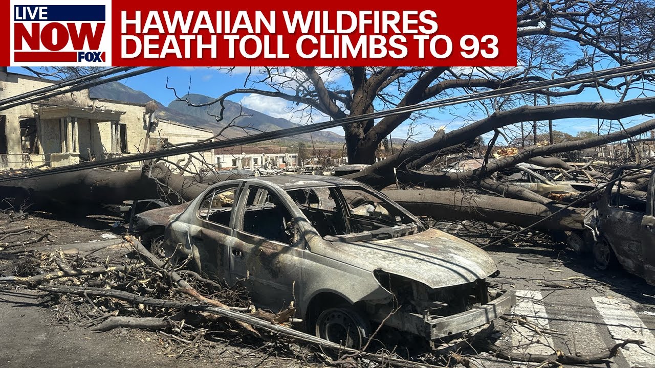 Maui Fire: Death toll rises to 93, deadliest wildfire in over 100 years | LiveNOW from FOX