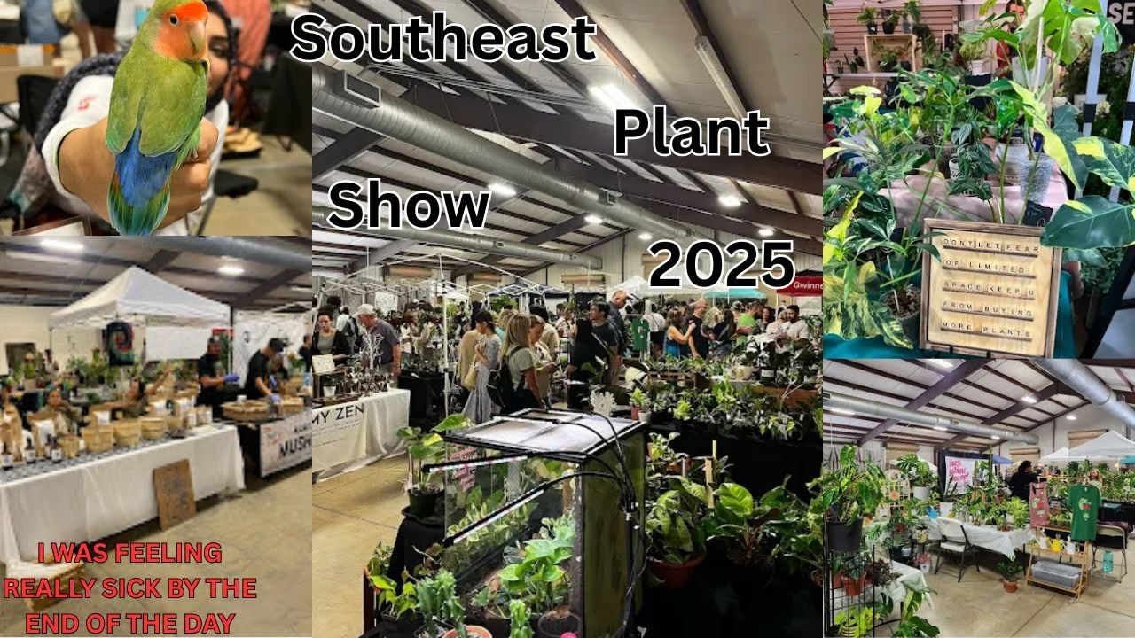 ЮГО-ВОСТОЧНАЯ ВЫСТАВКА РАСТЕНИЙ 2025 – Редкие/необычные растения