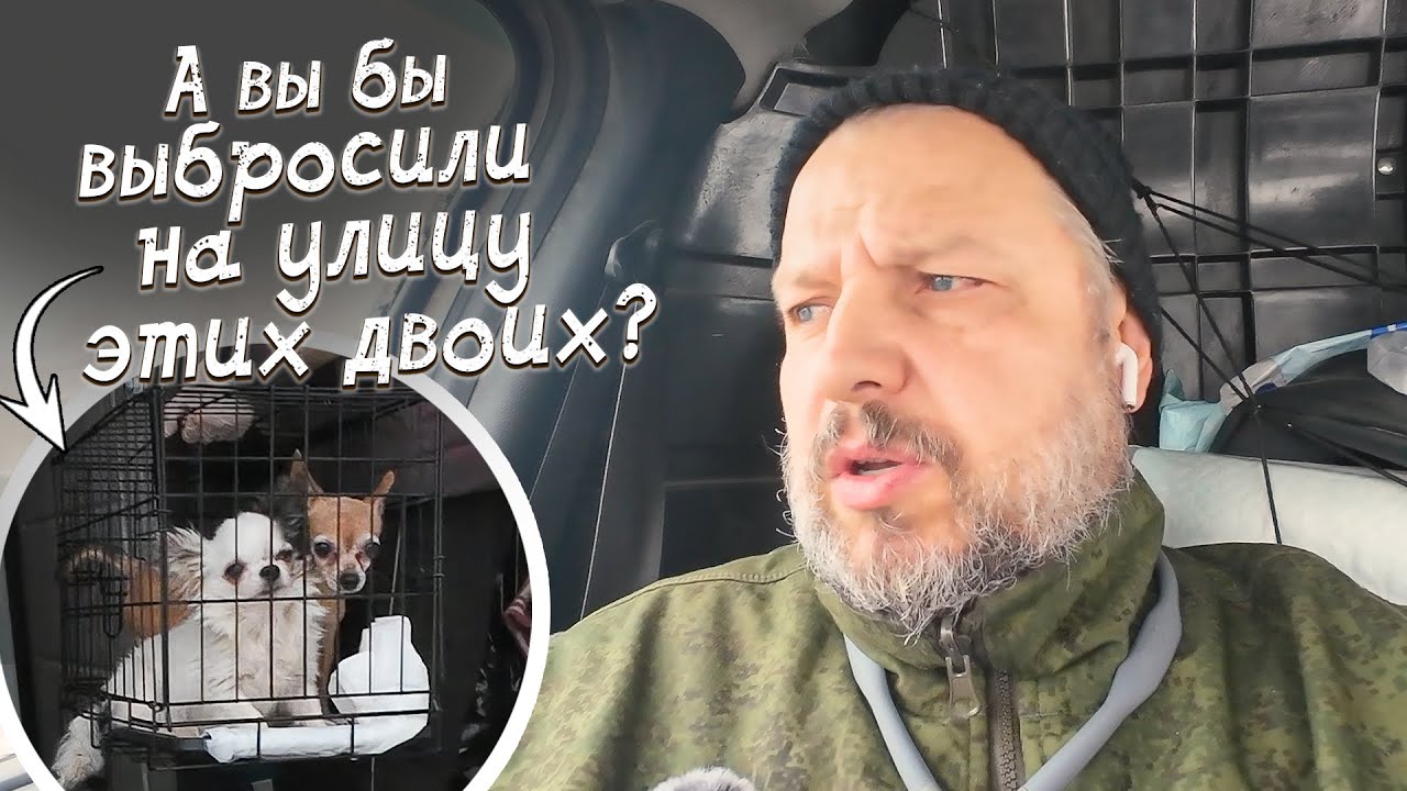 Перестали рожать? Пора вам на улицу, ребята...