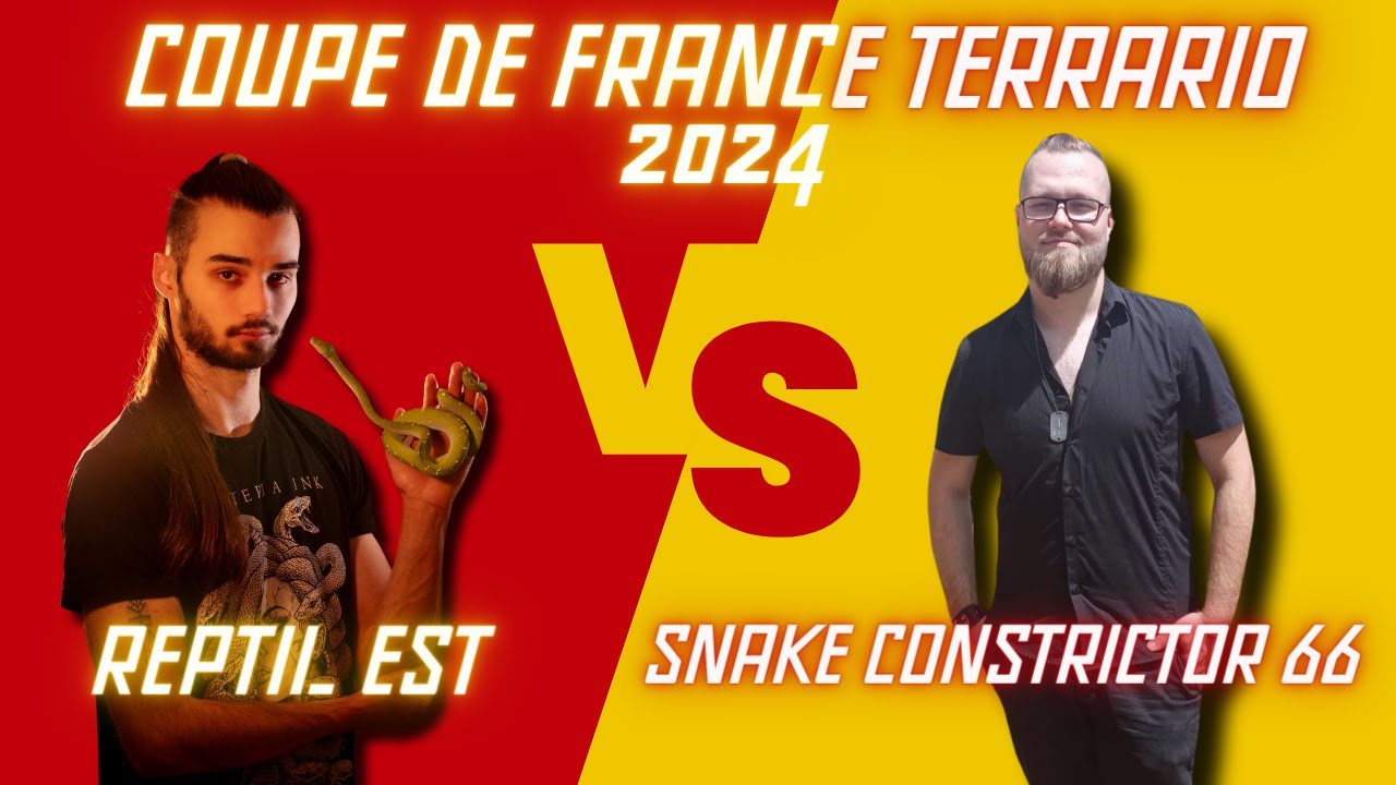 🇫🇷 MATCH #8 : REPTIL EST V.S SNAKE CONSTRICTOR 66 La COUPE DE FRANCE TERRARIO 🇫🇷