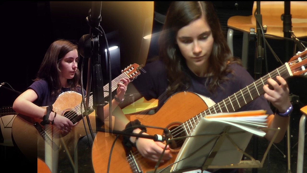 Concierto de Guitarras 2017