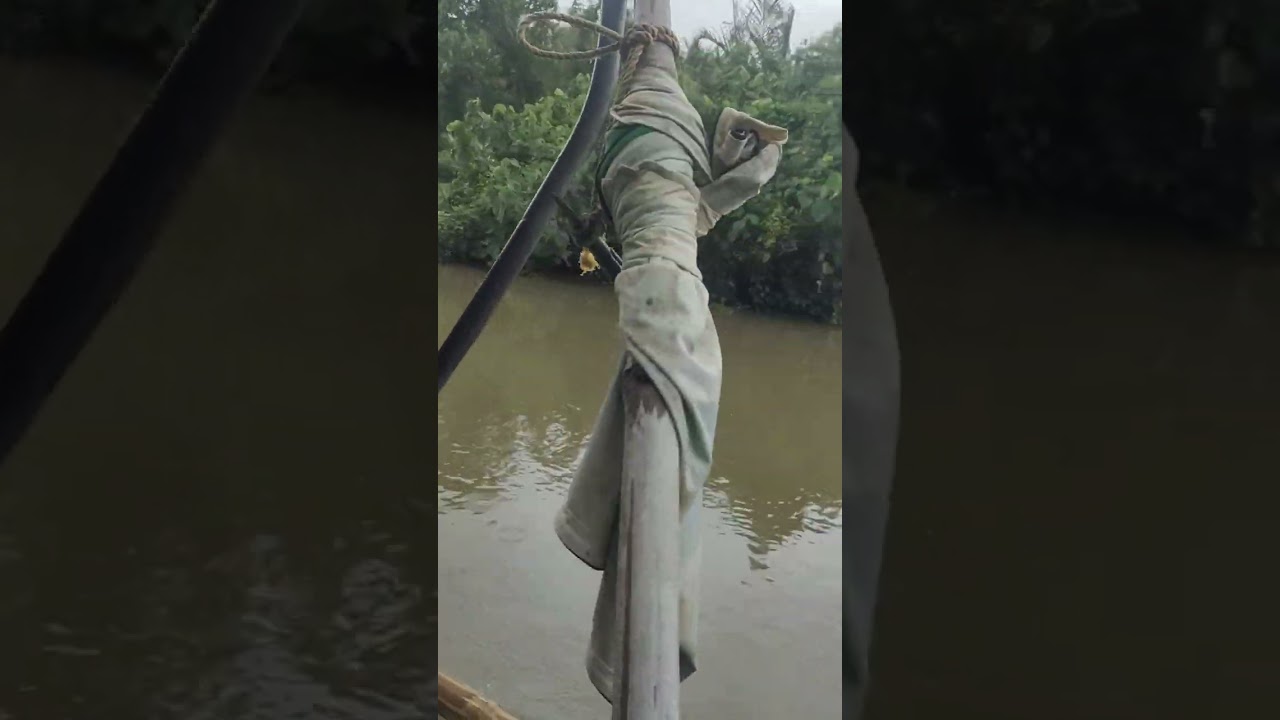 Let's catch again