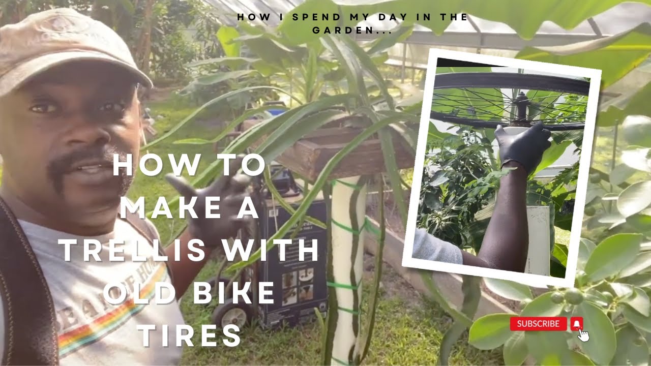 Making A Trellis With Old Bike Tires