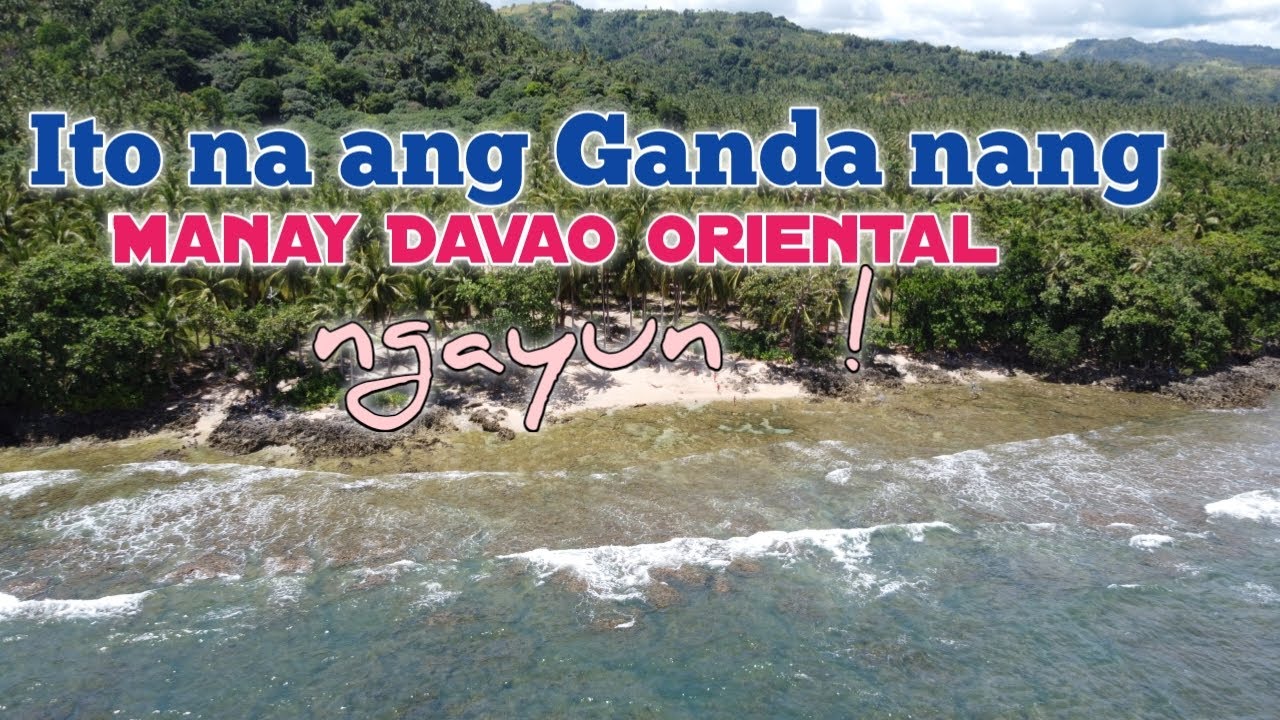 MANAY DAVAO ORIENTAL. AERIALVIEW  //NIEOR ESCAPED