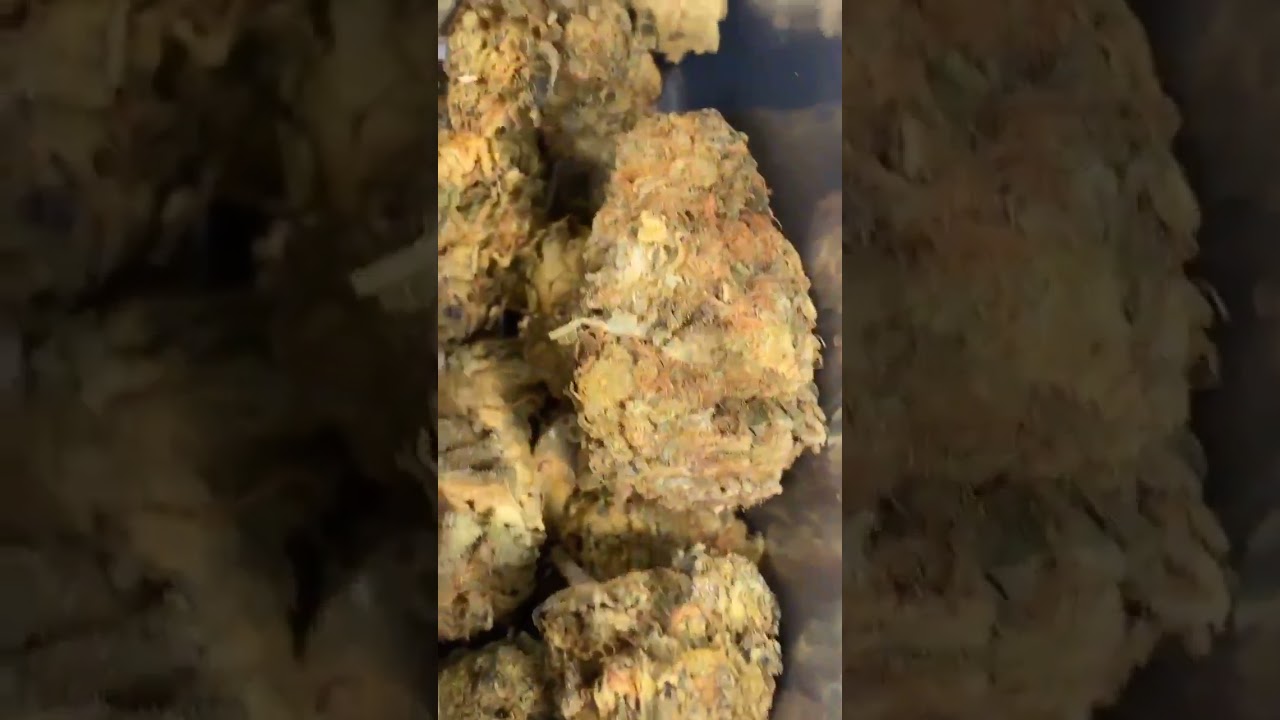 Royal Moby vs Tripoli | Curaleaf | UK Medical Cannabis Review 👀