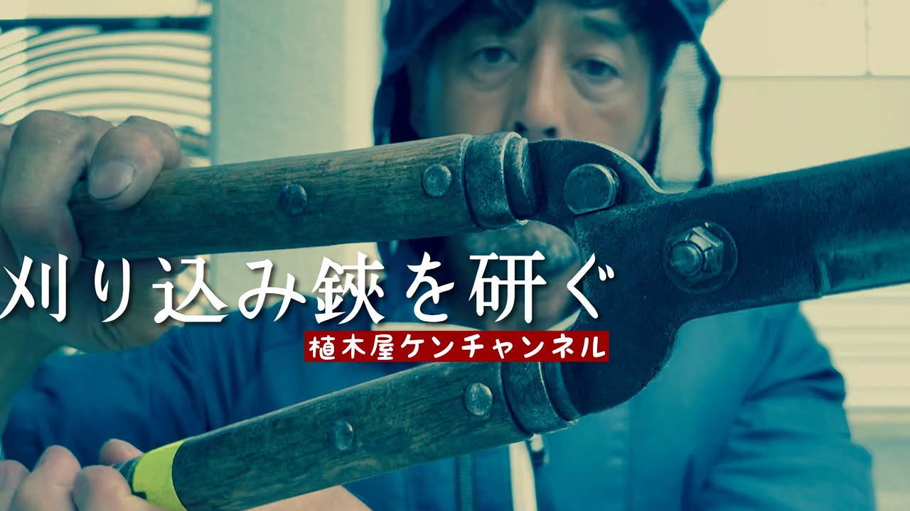 植木屋の刈り込みバサミの研ぎ方