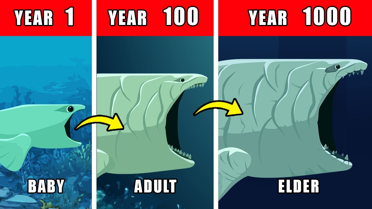 1000 Years of Bloop Life Documentary: How the Bloop Might Have Lived