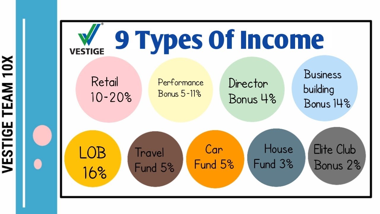 9 Types Of Income in Vestige ( in Hindi )