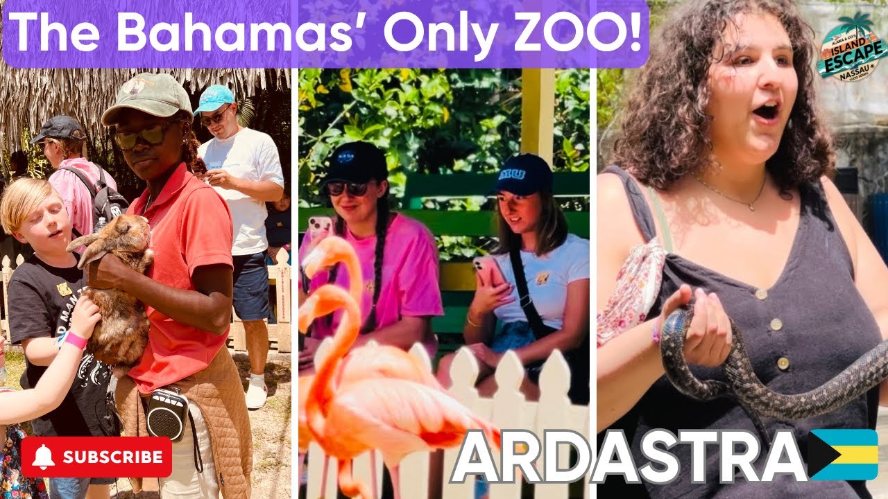 EP-4|A hidden gem of The Bahamas 🇧🇸💎|Ardastra Zoo,Gardens & Flamingos|Nassau Zoo|Flamingo Show🦩🦜🦚
