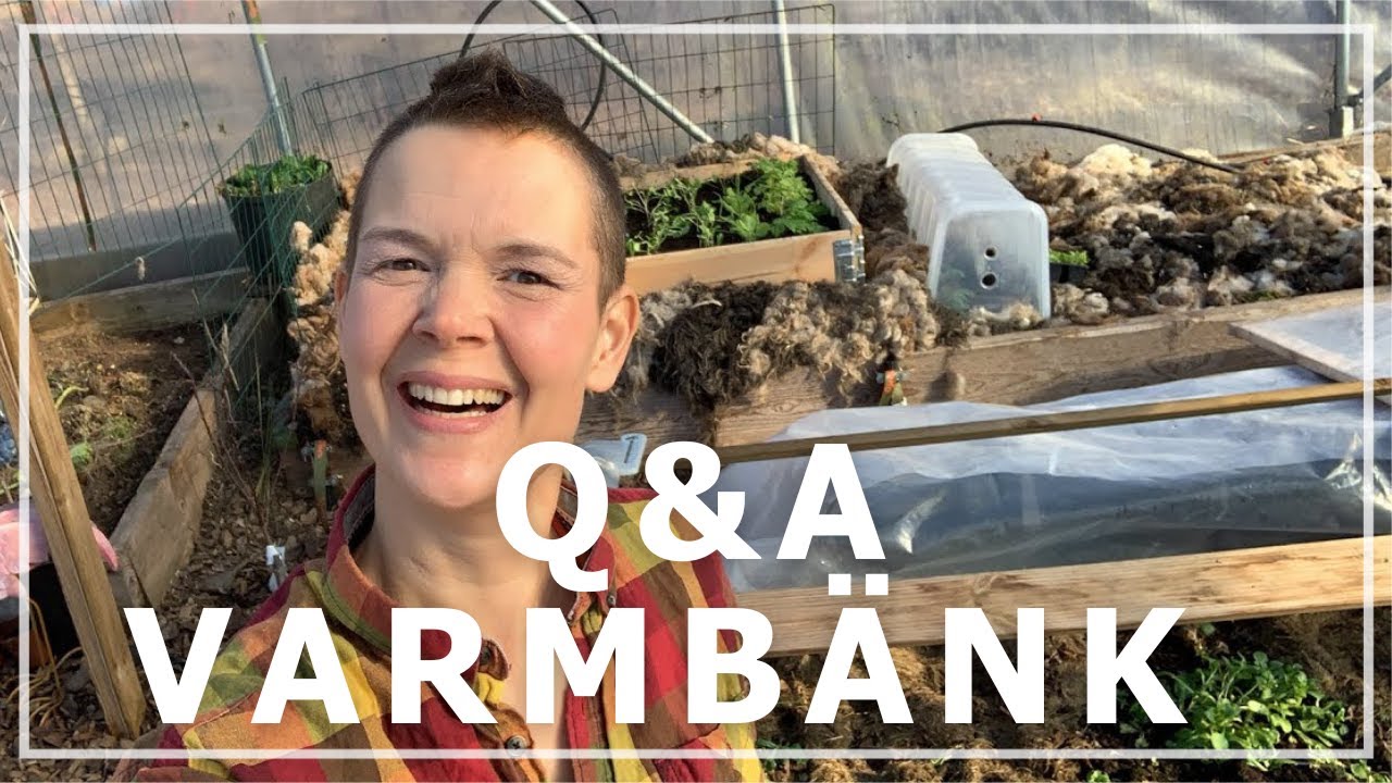 Q&A om varmbänk 2019