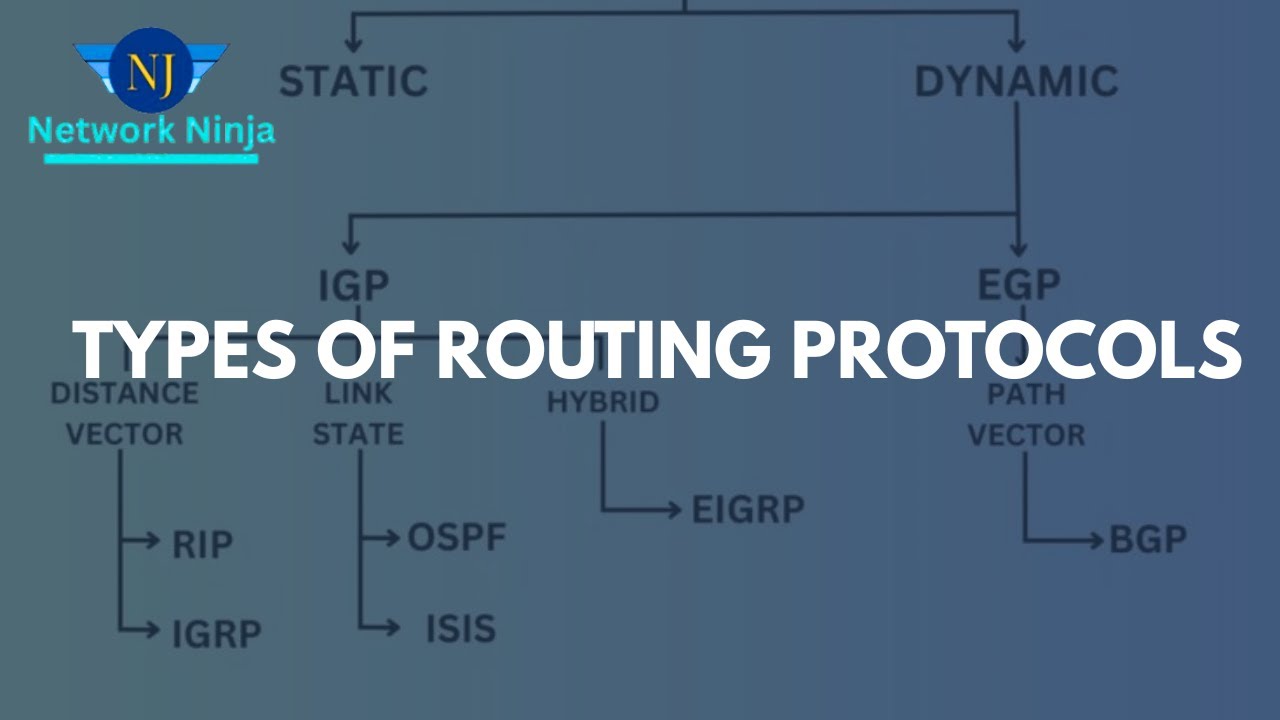 Протоколы маршрутизации: статические, динамические, по умолчанию | RIP, EIGRP, OSPF и BGP | IGP п...