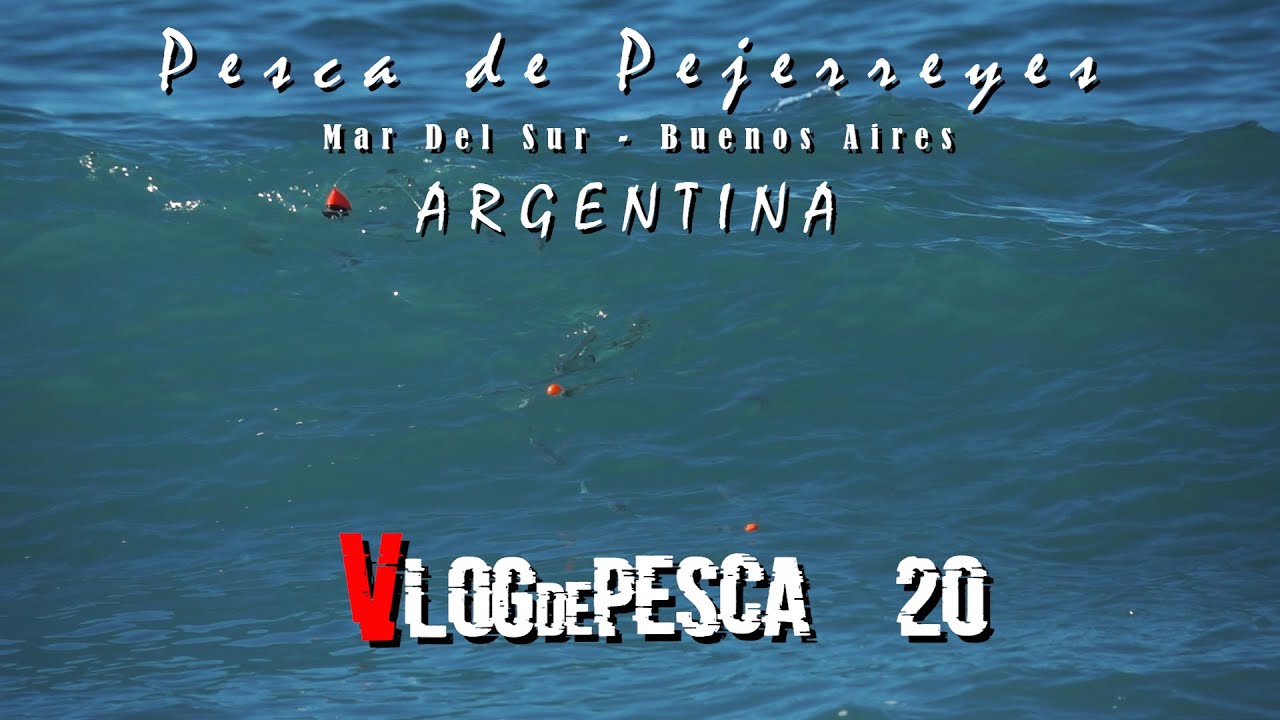 Peje Rey de las Olas - una increible pesca de pejerrey en Mar Del Sur - Vlog De Pesca 20