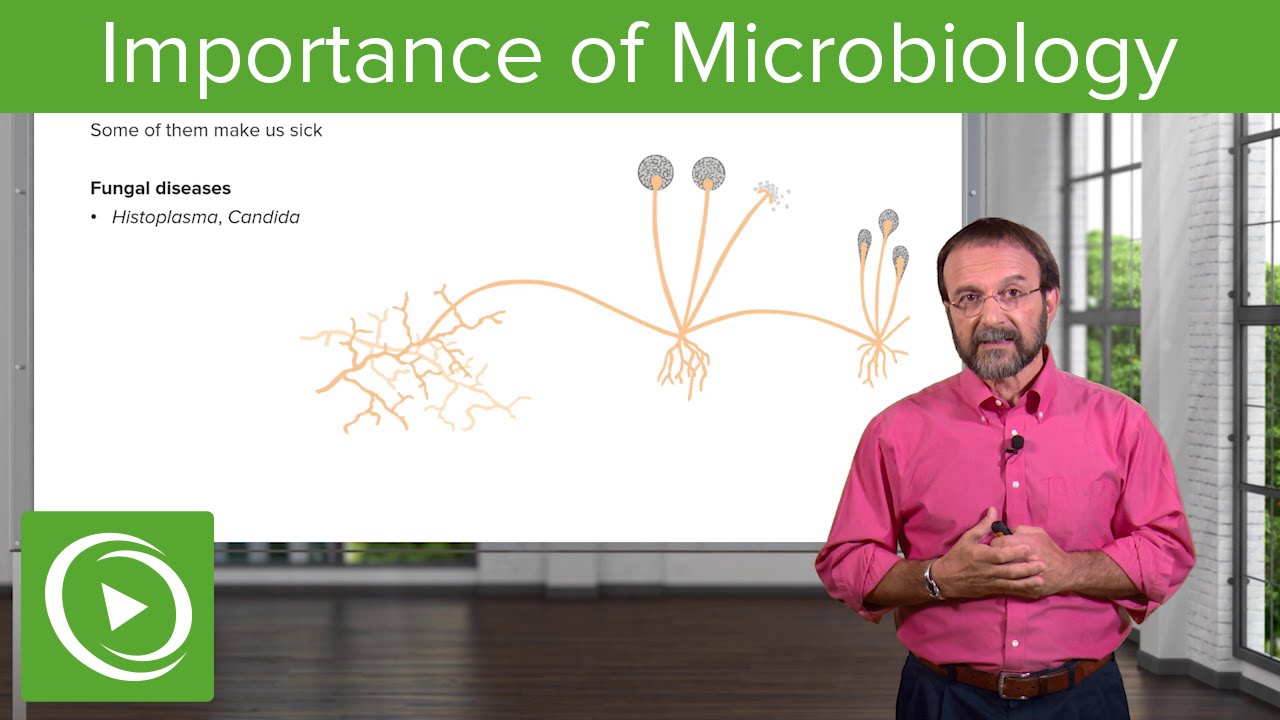 Importance of Microbes: Bacterial Diseases &ndash; Microbiology | Lecturio