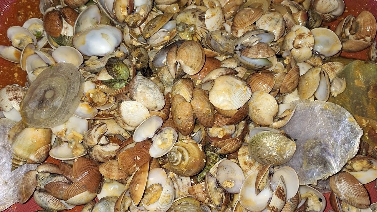 Masak kerang tumpah hasil daribngebolang | Laut Tj Riau | Batam