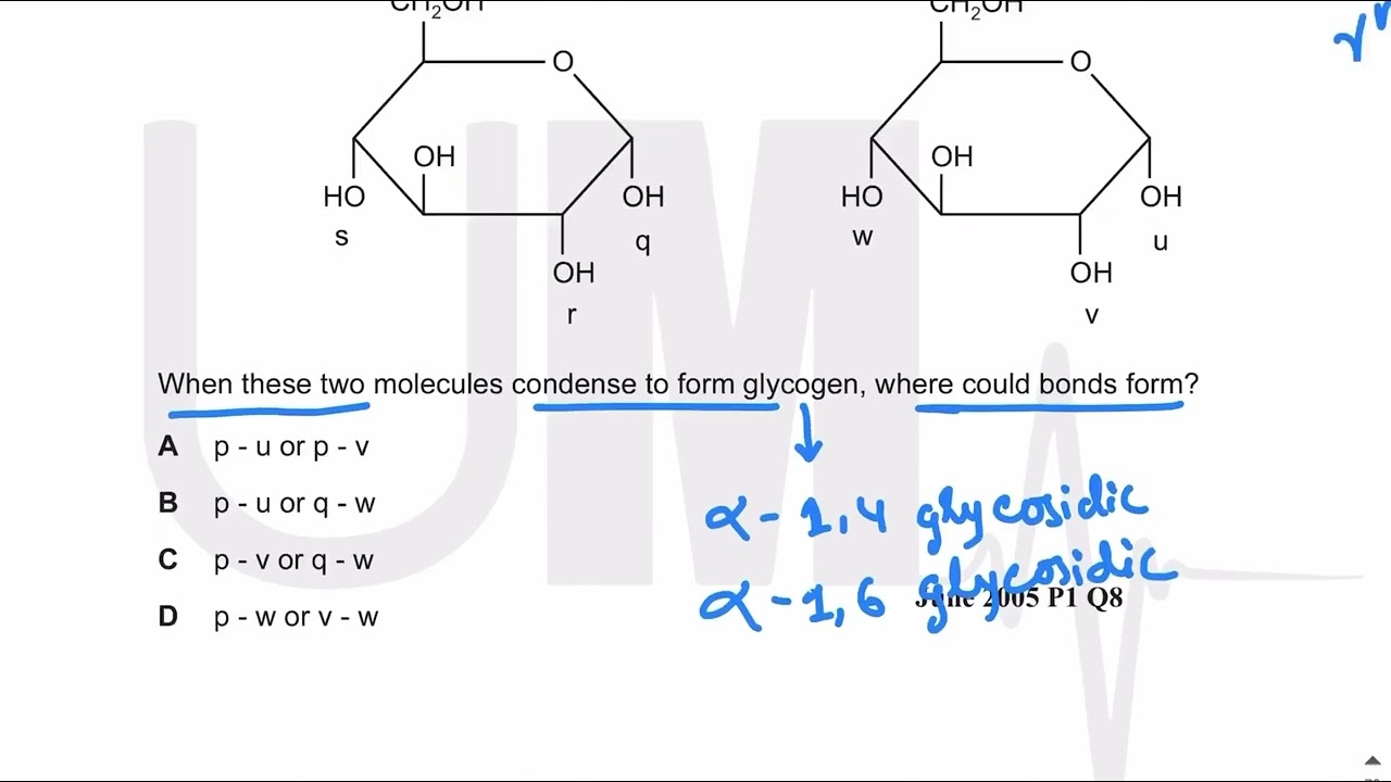 Biological molecules topical past papers paper 1 (part 1) - AS Level Biology