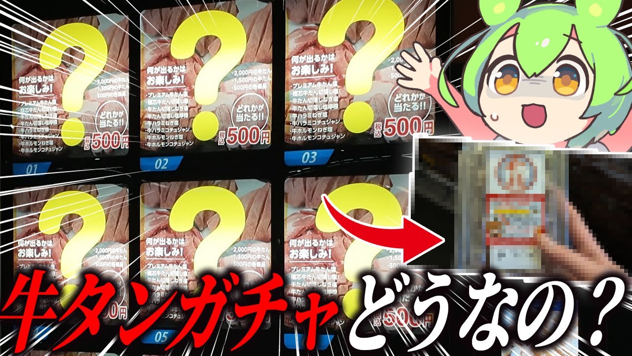 【1回500円】大当たり率9%！牛タンガチャ自販機やってみた結果…【ずんだもん】