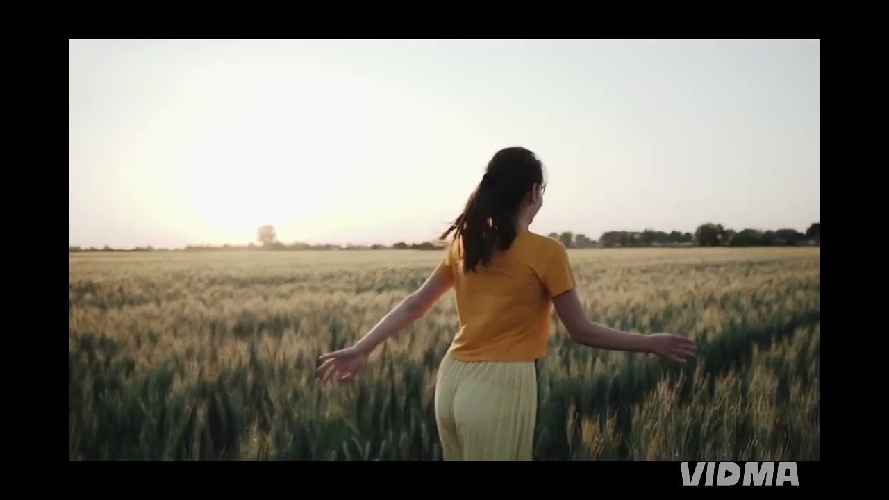 PÁPAI JOCI  -  ( KICSIT ŐRÜLT ) VERSION REMIX OFFICIAL VIDEO 