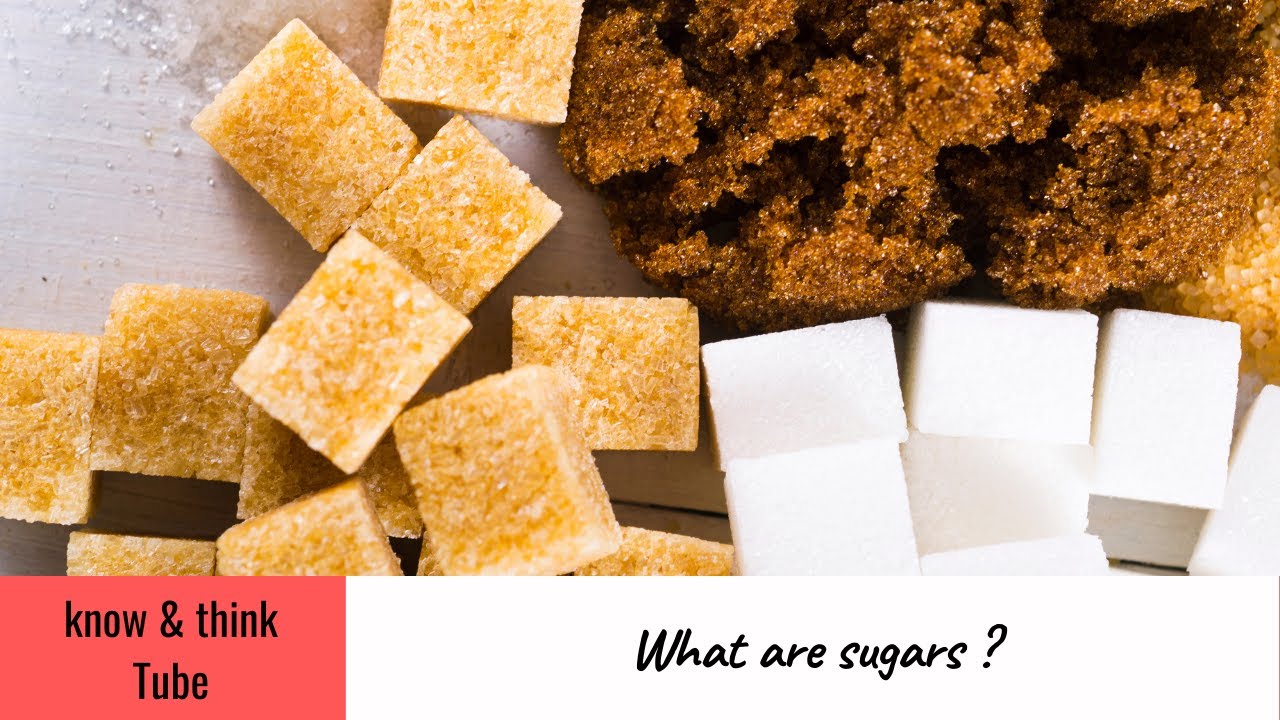 Sugars 👌 : What are sugars, properties, types, functions and characteristics 🔥 #chemistry