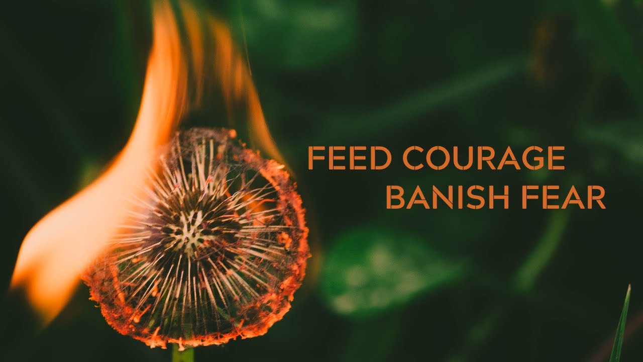 Dantian Energy Cultivation Meditation | Feed Courage & Banish Fear