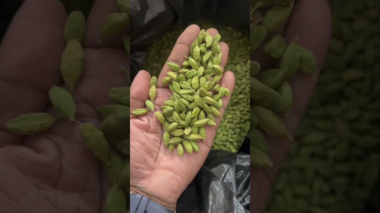 Cardamom Wholesale 🌿#spices #kerala #cardamom #shorts #viral #business #diwali #delhi #mumbai #uae