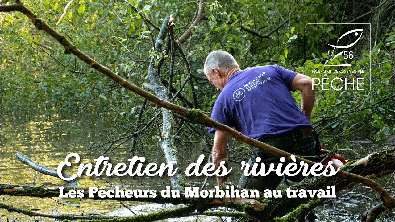 Restauration des rivières - Les pêcheurs du Morbihan au travail