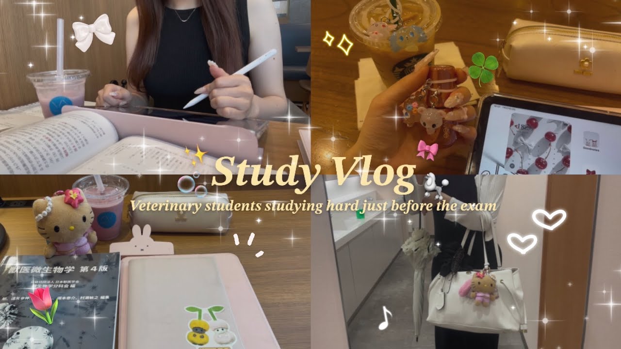 【獣医学生のVlog】深夜勉強で1日を取り返したい🌀︎‪💡🌟寝坊したテスト2日前の追い込みVlog✍🏻💭🌷