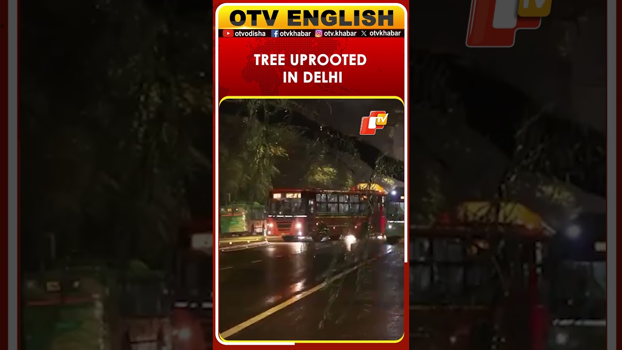 Tree Uprooted By Heavy Rains Near Supreme Court In Delhi