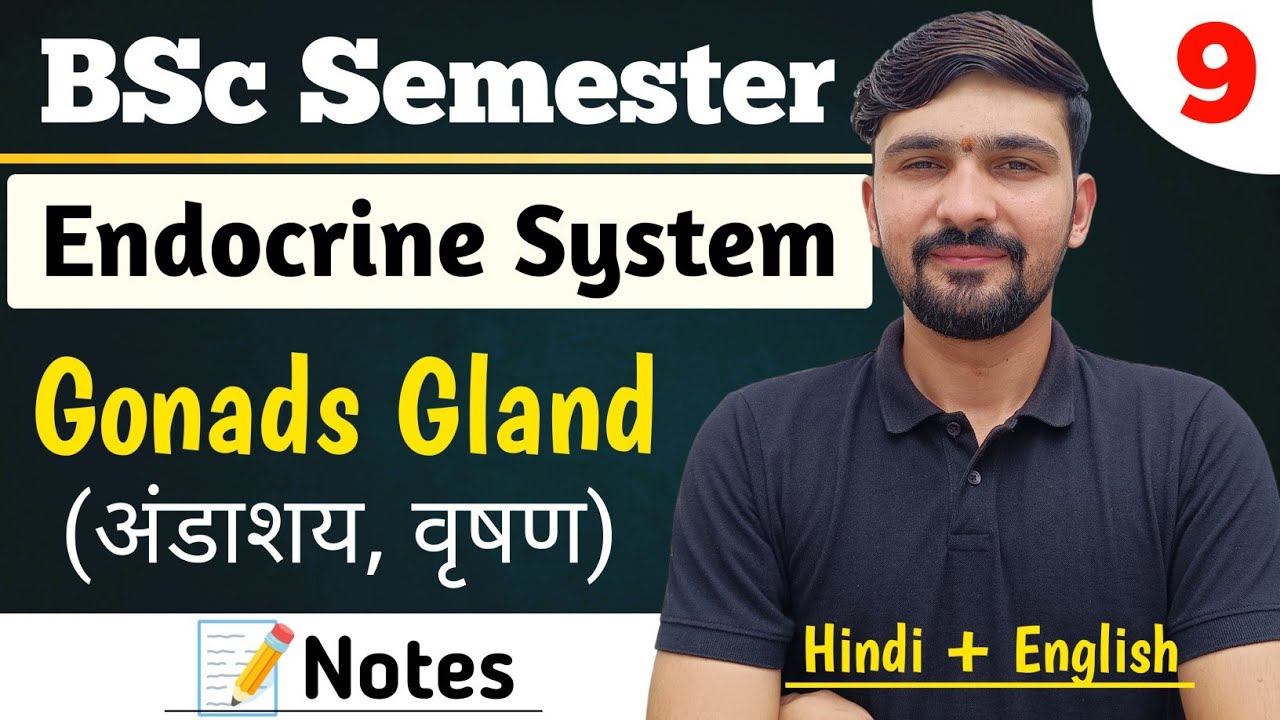 Gonads Gland (अंडाशय व वृषण) | Endocrine Gland | BSc Semester || By Dadhich Sir