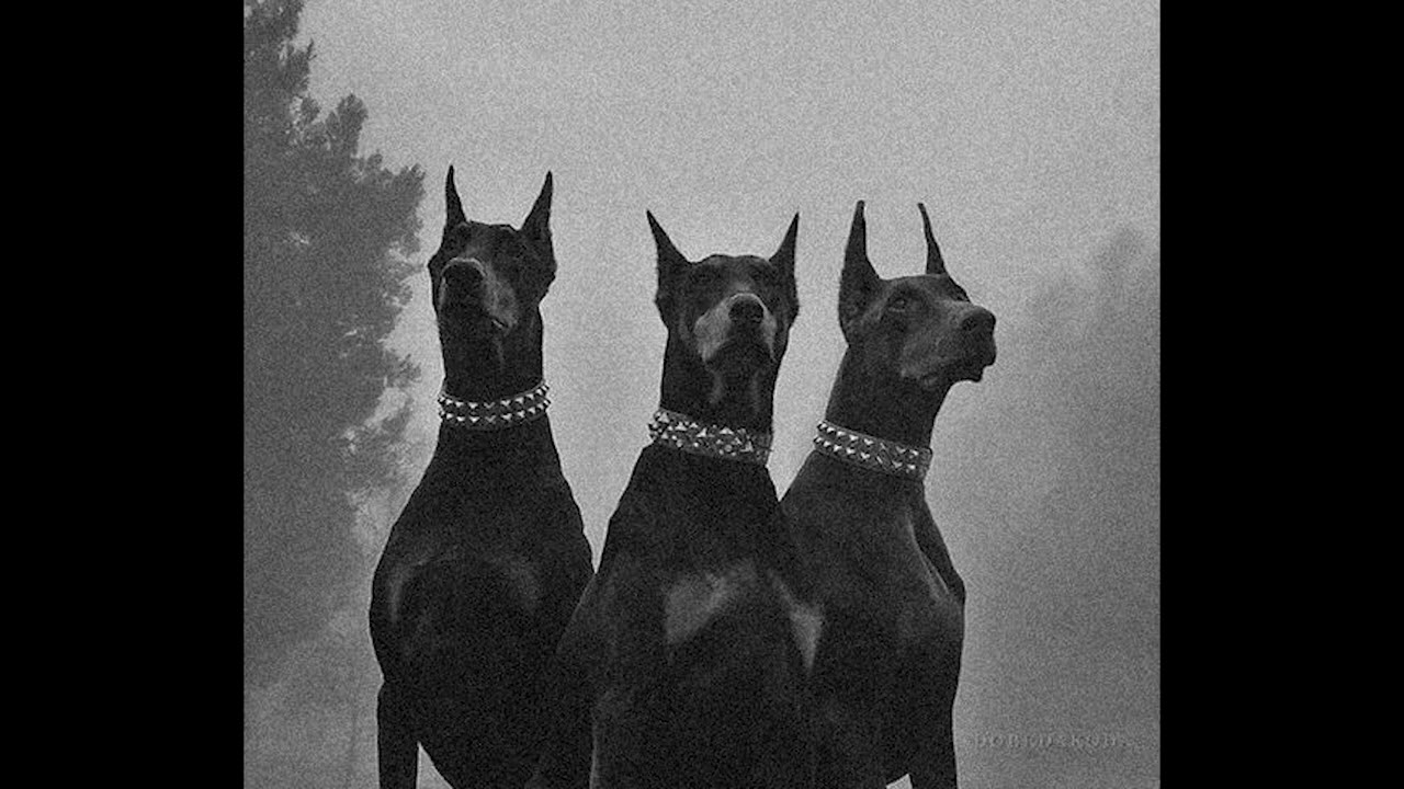 [FREE FOR PROFIT] ZILLAKAMI TYPE BEAT - 1