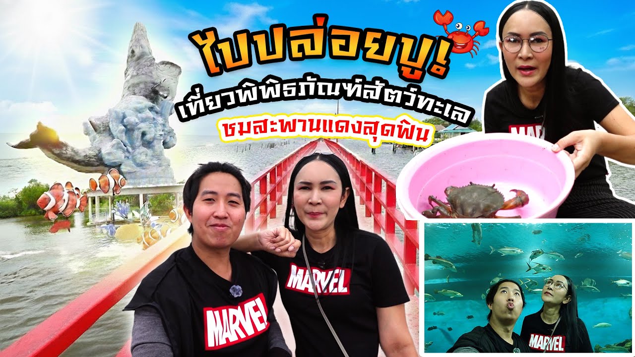 ลุยโคกคาม! พาปล่อยปูจุดลับ & เที่ยวสมุทรสาคร | Releasing Crabs in Mangrove Forest (Eng Sub)