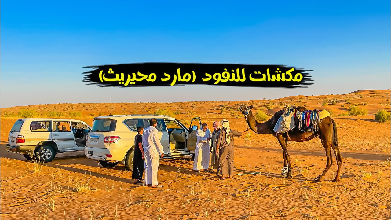 سلسلة الصحراء_طلعتنا للنفود الكبير👍