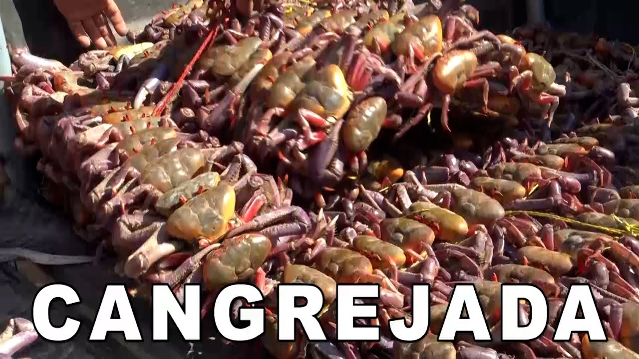 CANGEJADA GUAYAQUIL