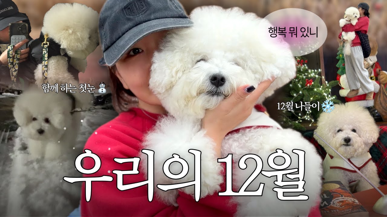 Vlog 망칠 뻔했던 주말, 작은 행복을 다시 쌓은 일상 기록, 반려인의 지극히 현실적인 일상