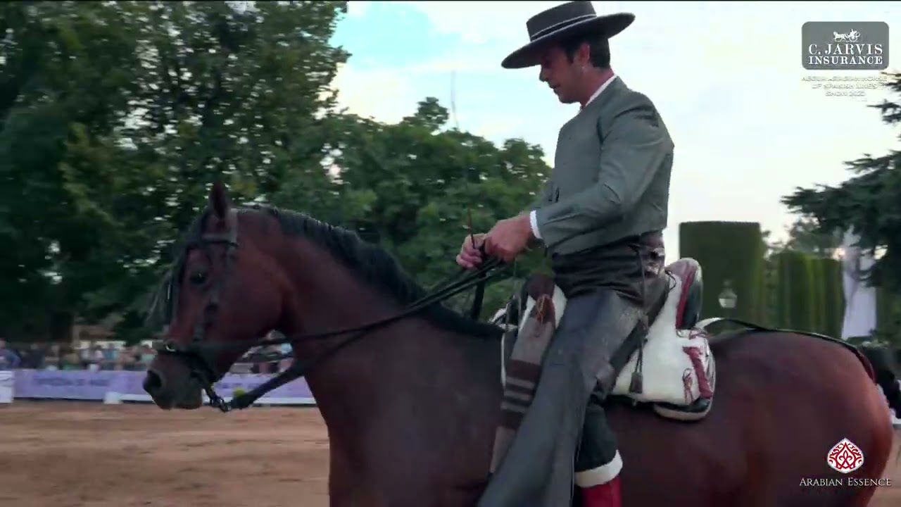 AECCA Arabian Horse of Spanish Lines Show 2023   Spanish Dressage Presentation