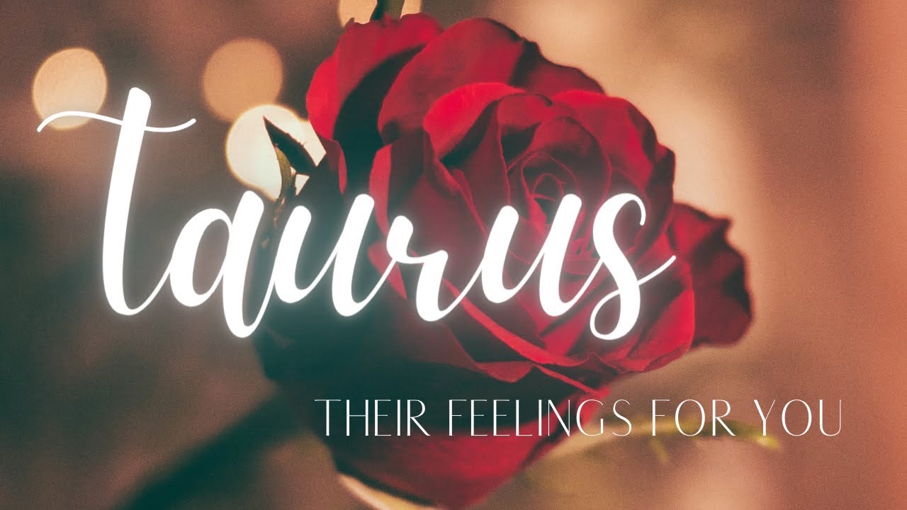 TAURUS LOVE TODAY - COMING OUT OF EGO TO END THIS NO CONTACT!!!