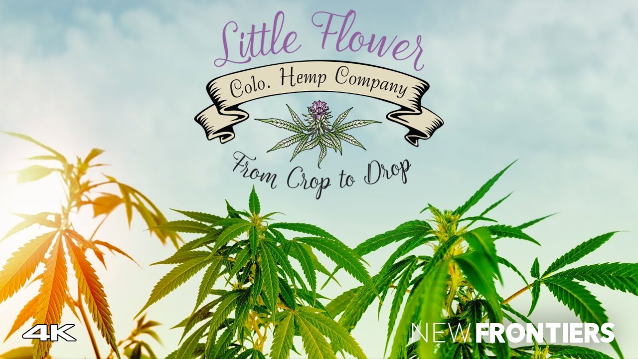 The Little Flower Colorado Hemp Company in Organic Hemp Farming and Products