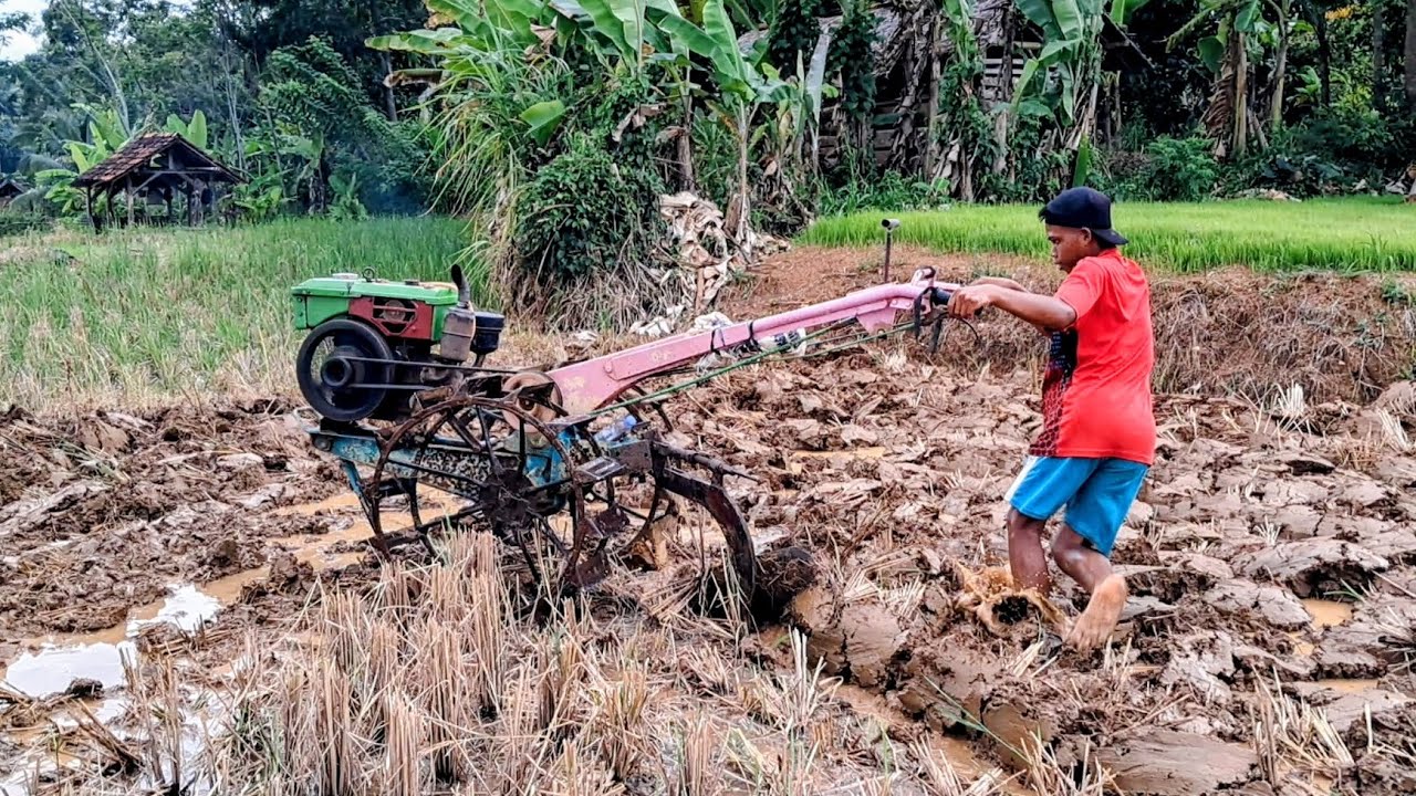 Skill Joki Traktor Disaat Menikung Di Sudut Sawah