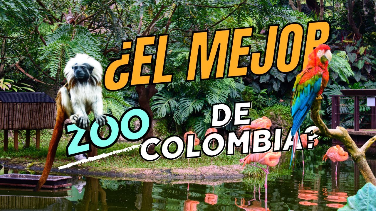 🌴🐯 Descubre TODOS los ANIMALES del Increíble Zoológico de Cali 🐒🌺