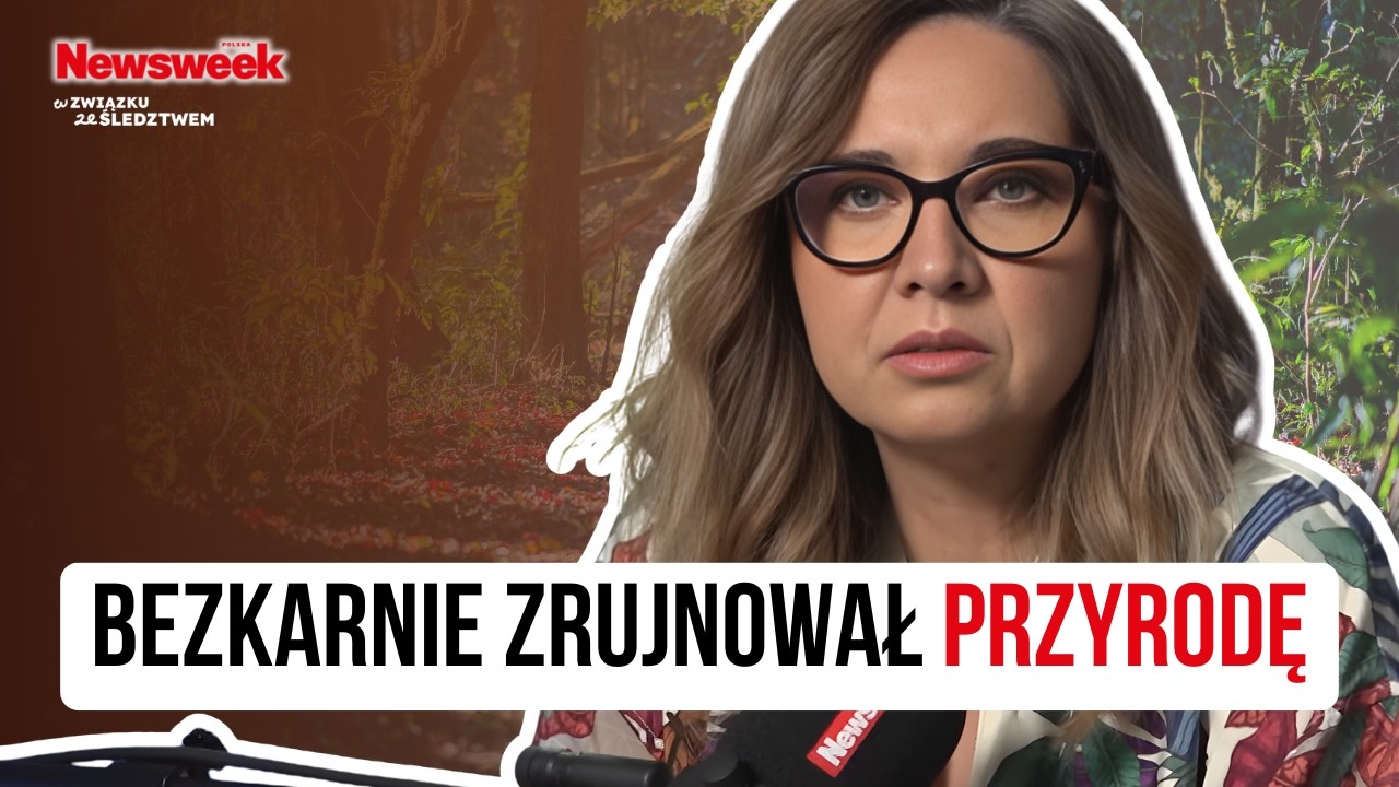 WYCIĄŁ PONAD 1500 DRZEW NA MAZURACH. SĄD UZNAŁ, ŻE TO NIE BYŁ LAS