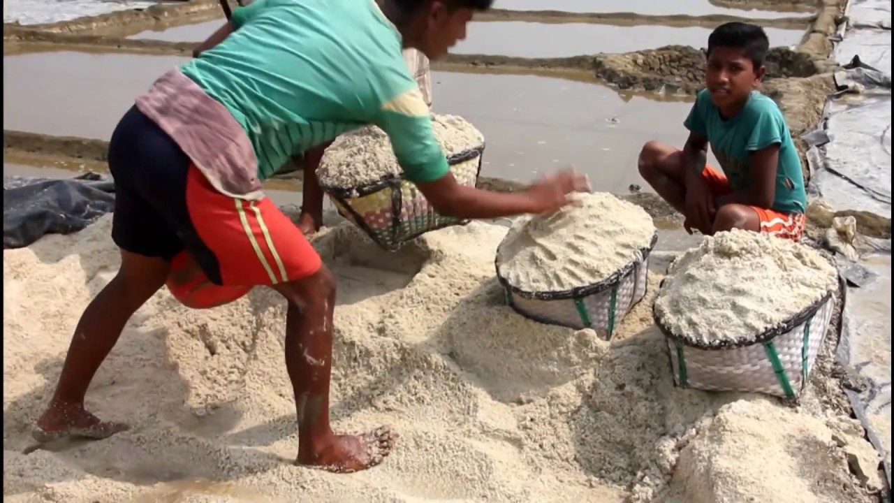 কি ভাবে লবণ চাষ করে দেখুন।