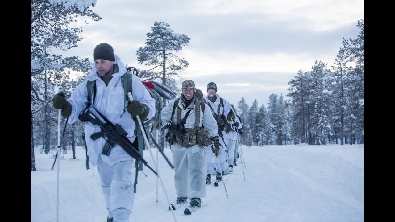 Learning to survive in the artic