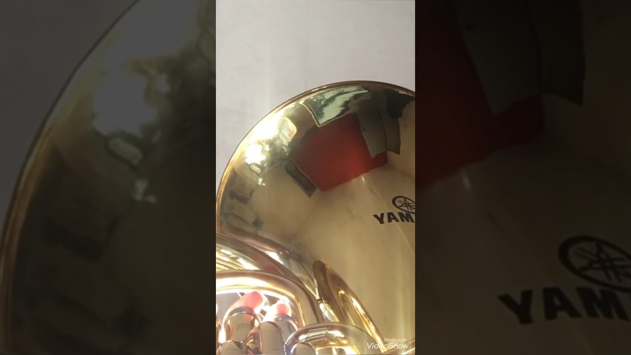 HINO 278 - TUBA YAMAHA 201